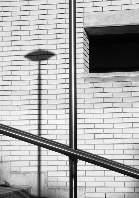 Il Disco Volante e la Foglia