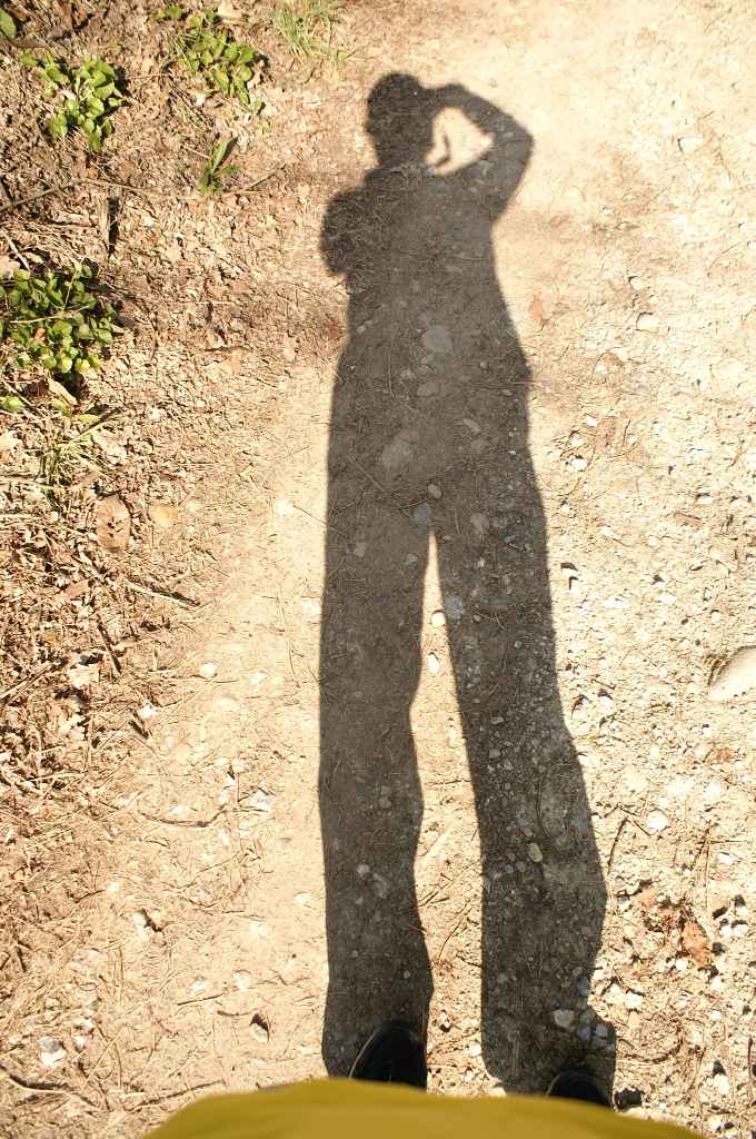 sono... l'ombra di me stesso