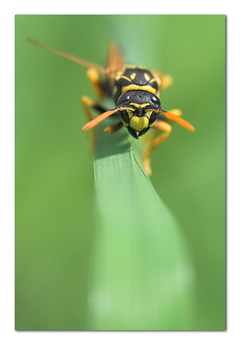 Ti conviene spostarti!