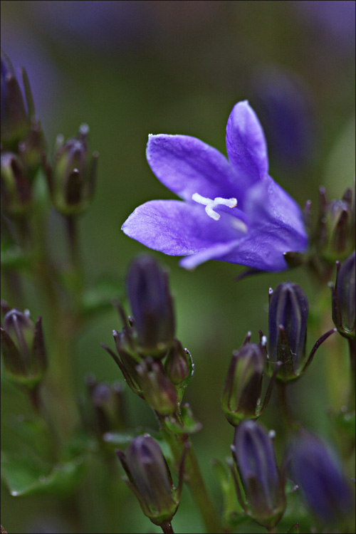 prima al risveglio..