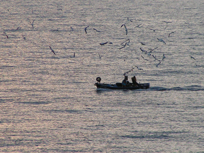 Pescatori all'alba