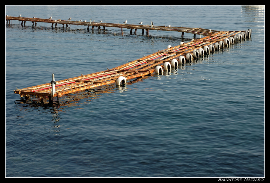 la banchina arruginita