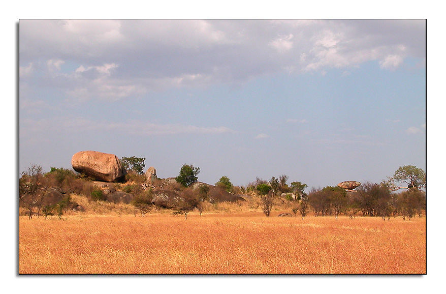 Kopje - Serengeti - Tanzania