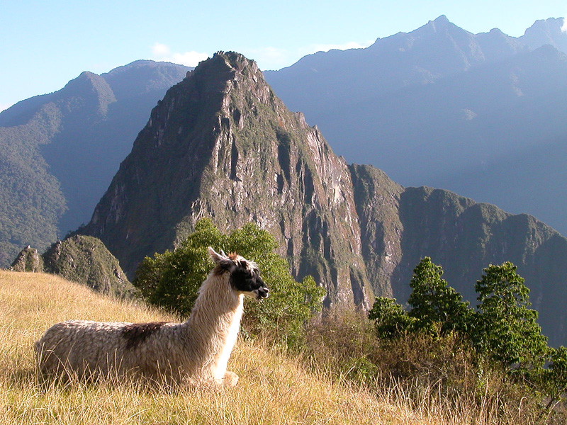 Wayna Picchu - Per�