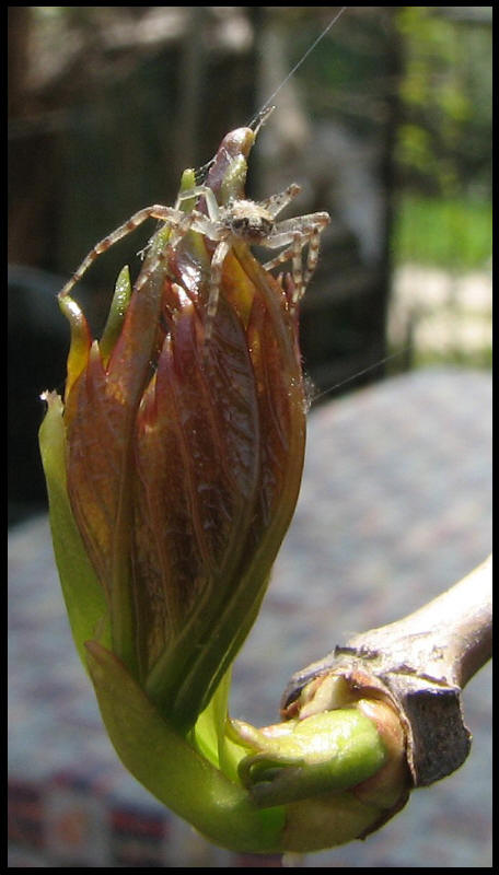 E ora da che parte vado?