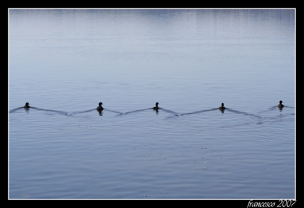 Seguitemi..........io no