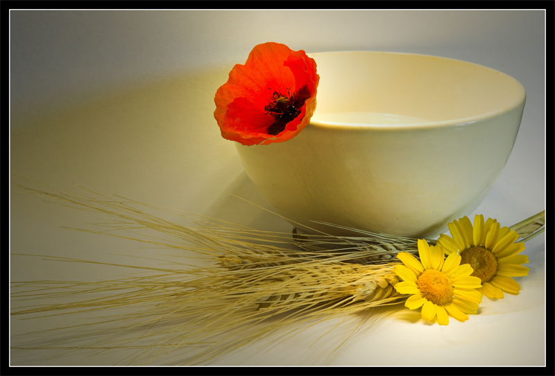 Aspettando l'estate...