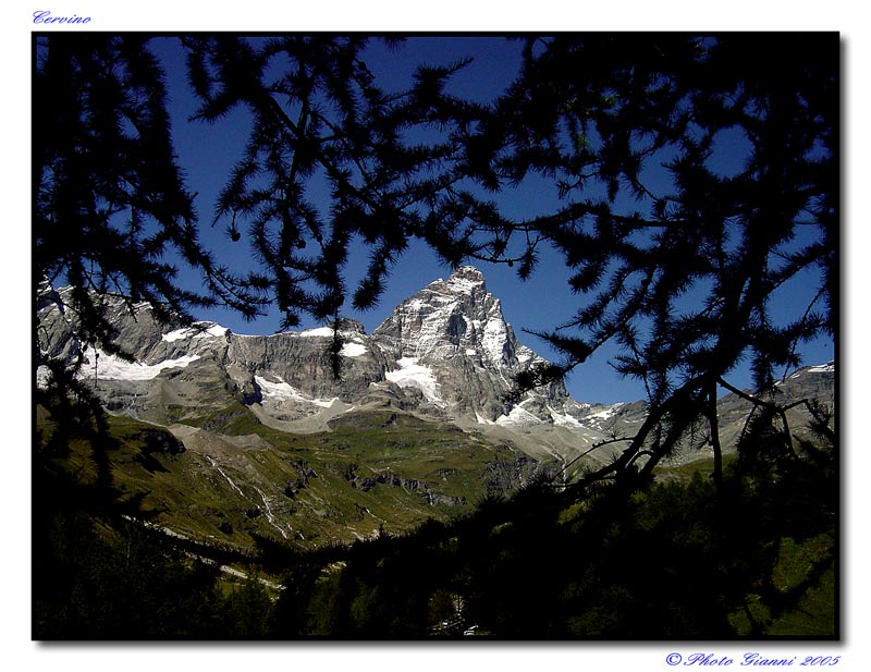 Cervino