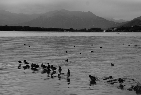 sullo specchio dell'acqua...