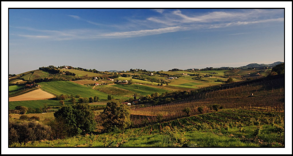 La culla del Sangiovese...