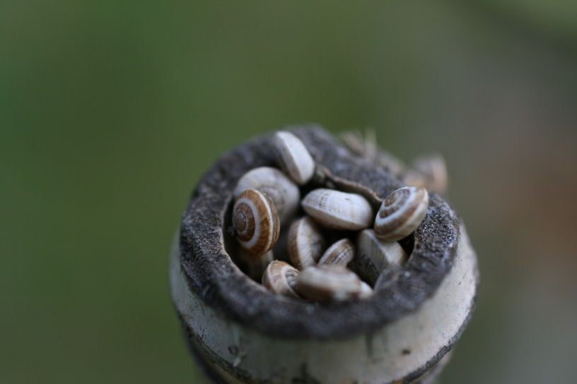 Stiamo vicini vicini