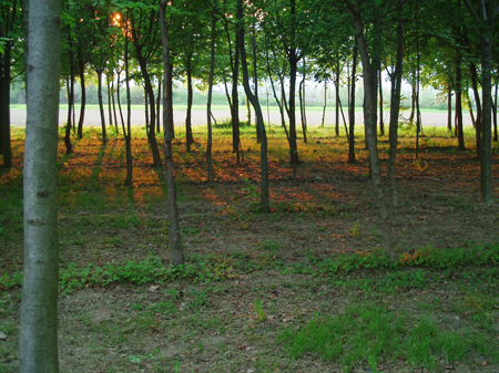 Infiltrazioni di luce