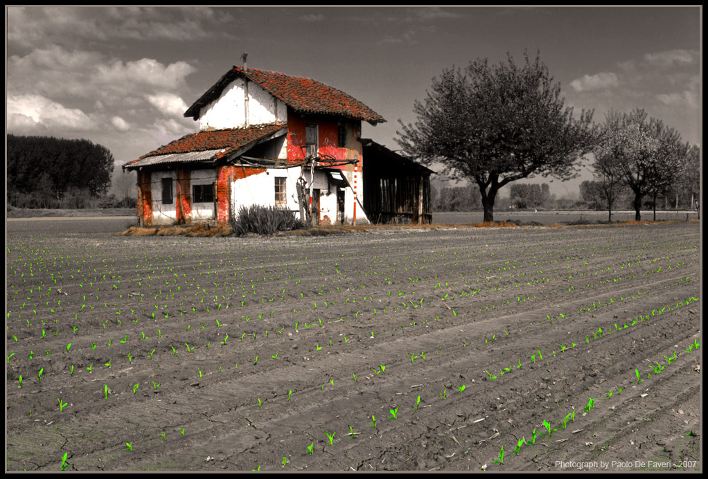 La casa di campagna della famiglia Adams. #2