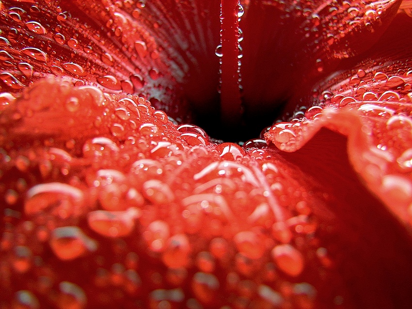 Gocce di pioggia su di me..