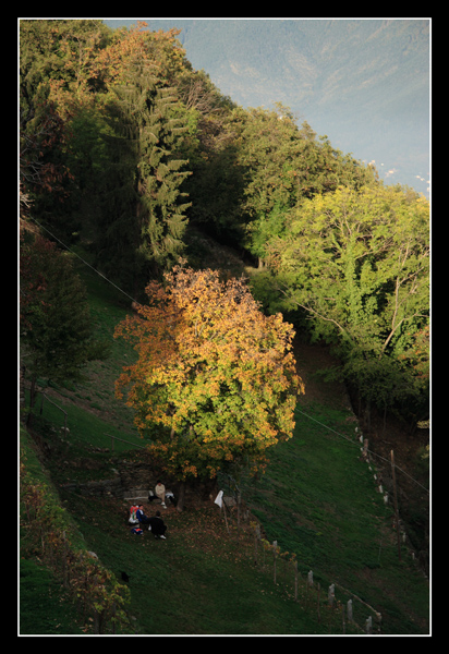 Sacra di S.Michele 2