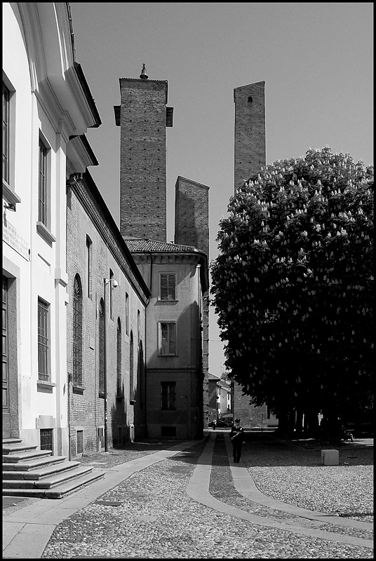 Pavia e le sue torri