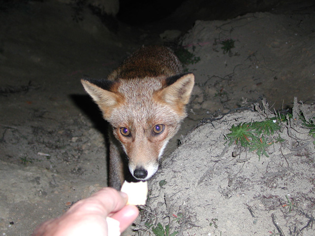 cosa me tocca f� pp� camp�!!!