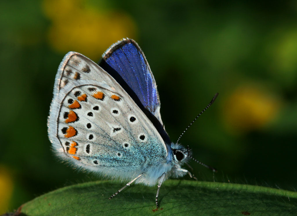 prima foto della stagione.....