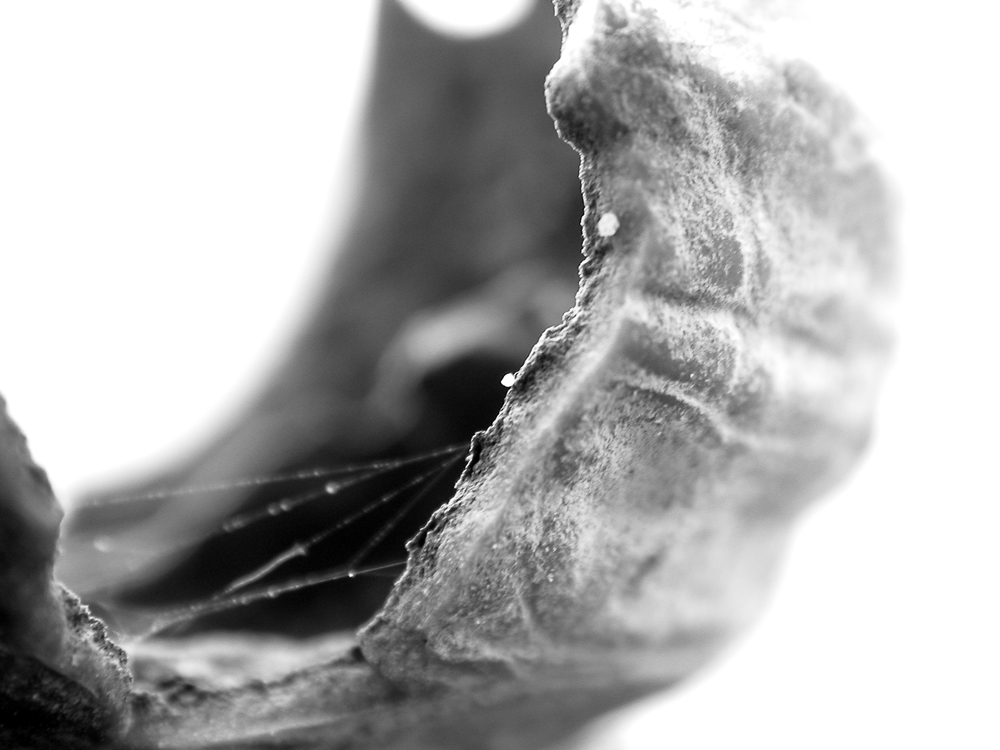 Qualcosa si � rotto #4