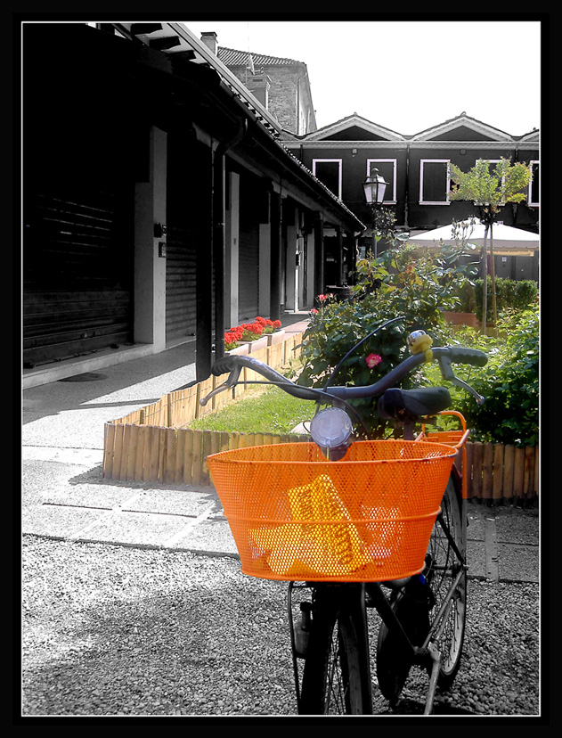 dedicato ad Antonella che � volata via...