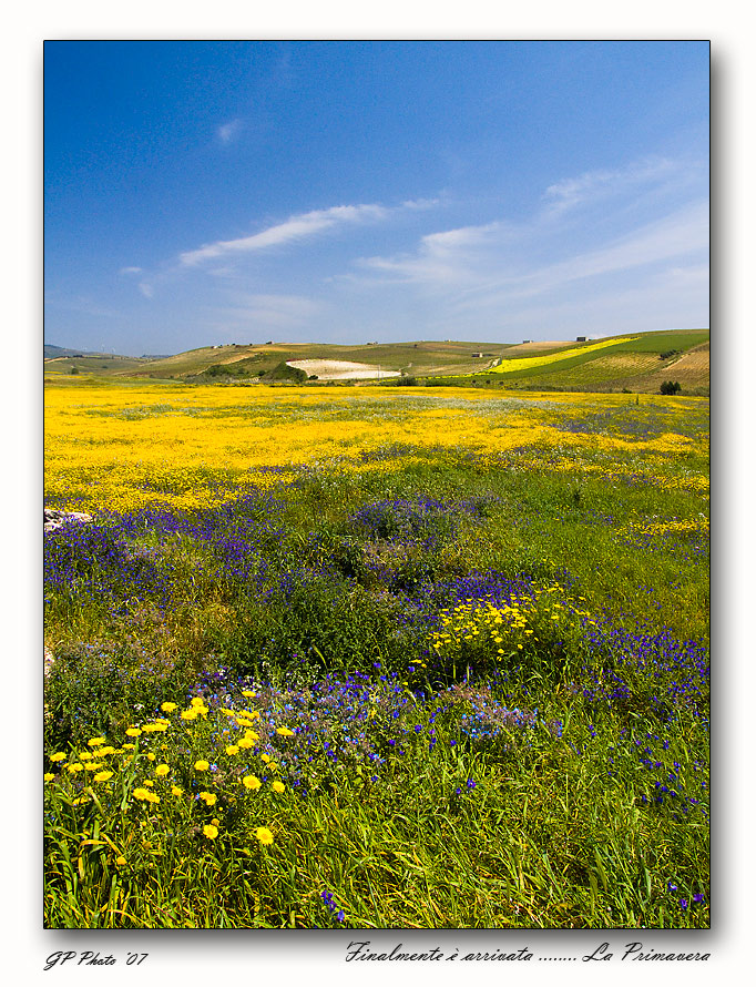 Finalmente � arrivata........