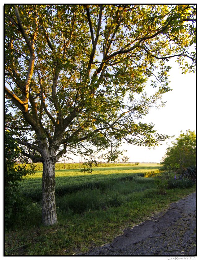 Ultima ora di sole ..............