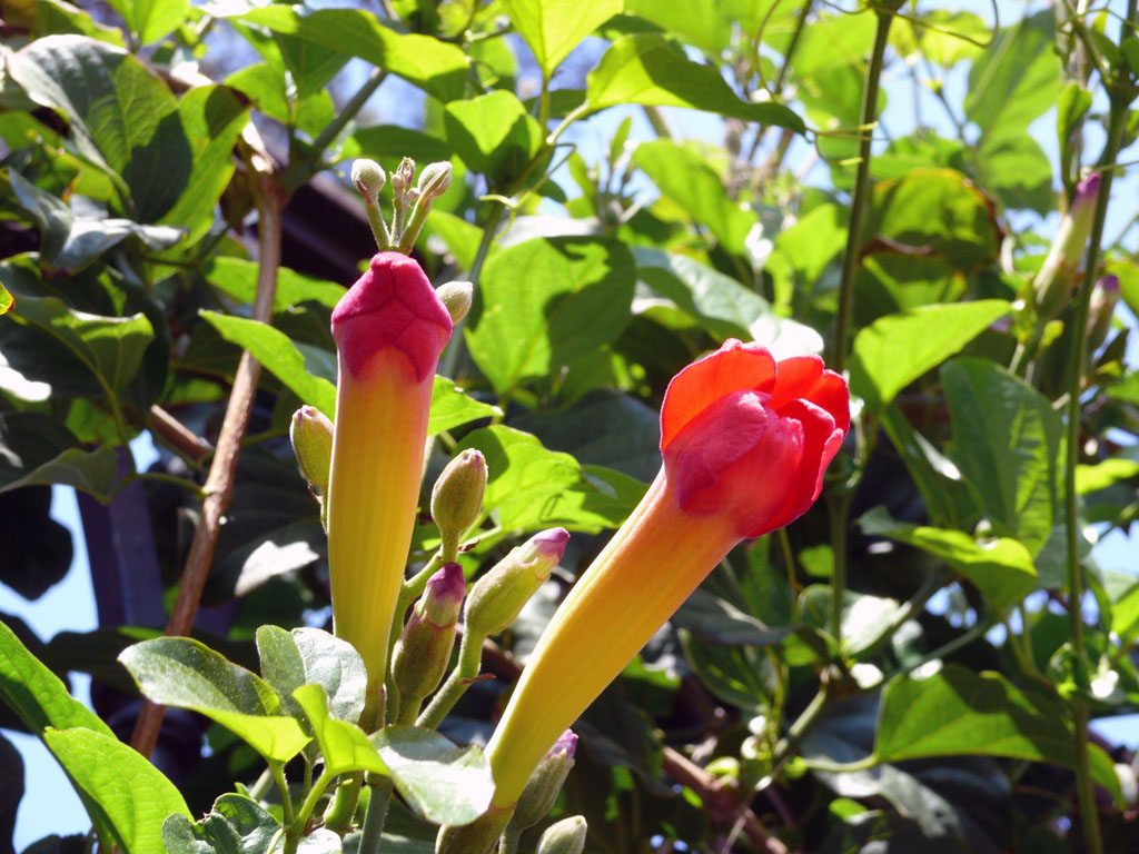 villa comunale salerno