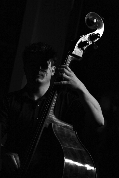 contrabbassista nell'ombra
