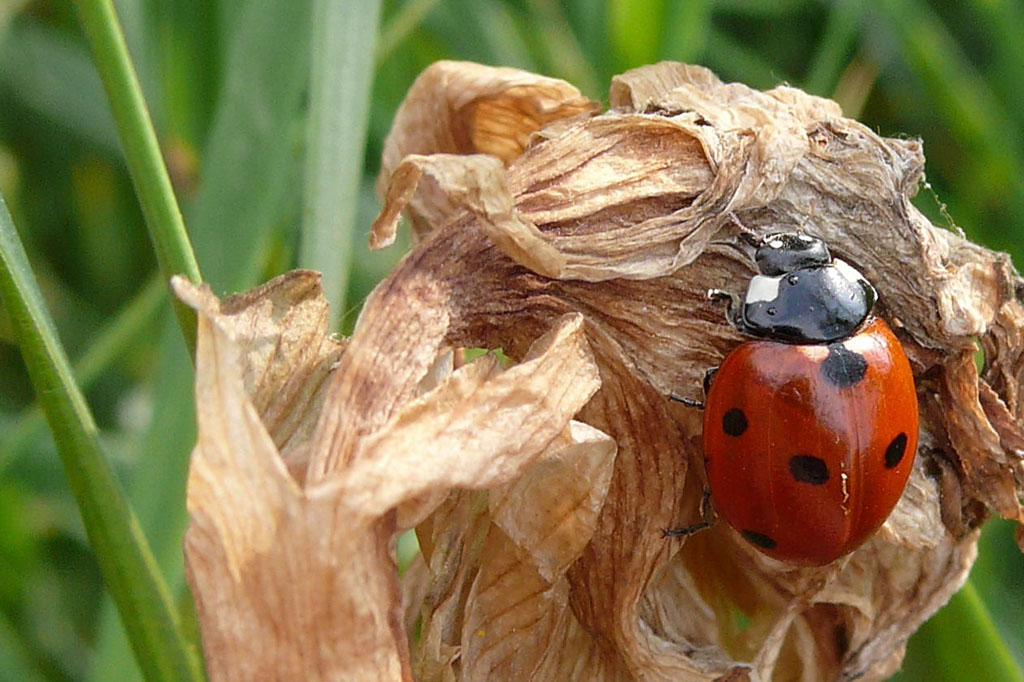 che cosa mangio ora!!!