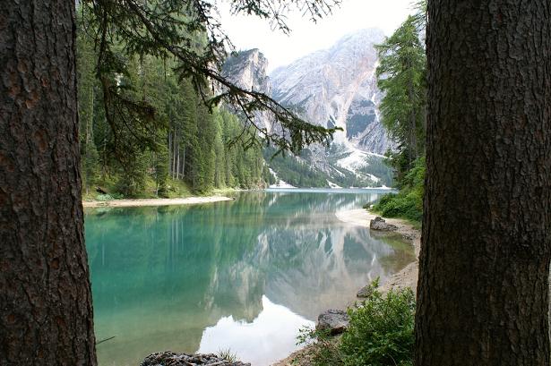 Riflessi