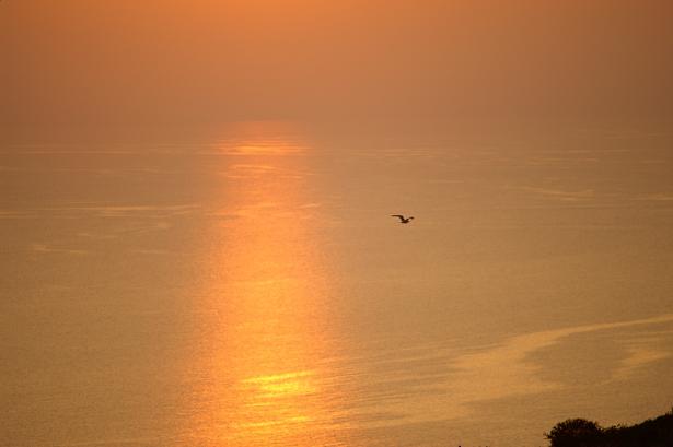 TRAMONTO ALL'ISOLA DEL GIGLIO