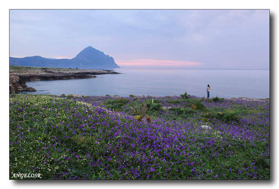 Paradiso Terrestre   "San Vito Lo Capo"