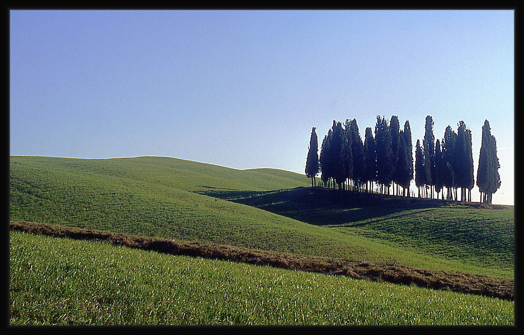 Colline Senesi