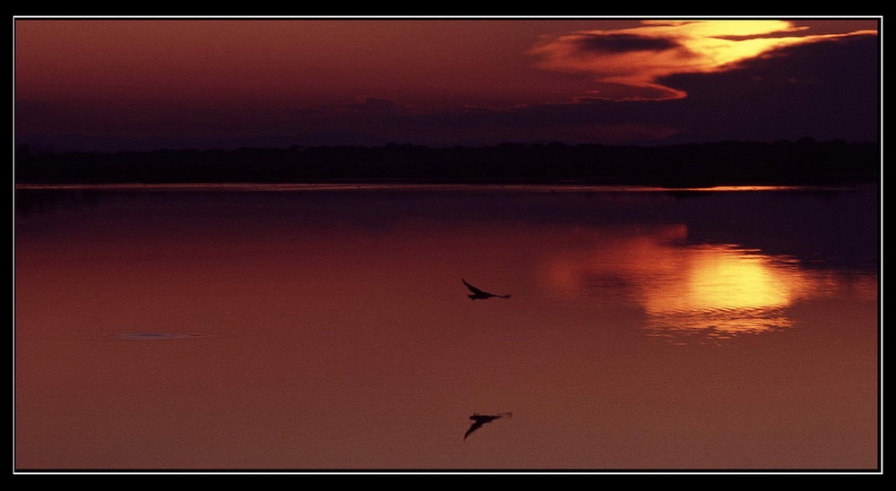Volo al tramonto