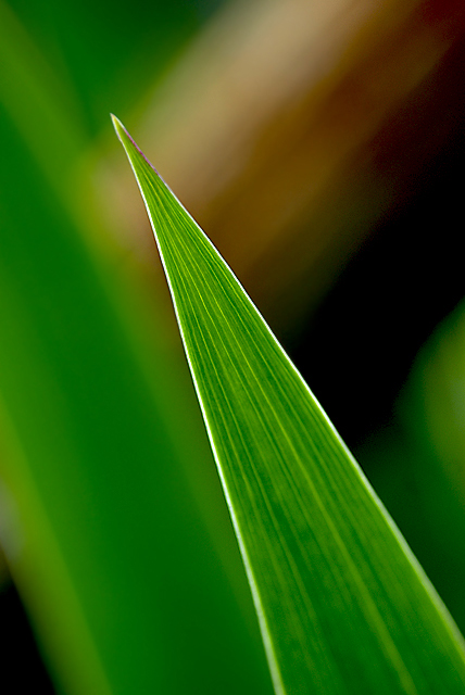 Autostrada all'infinito
