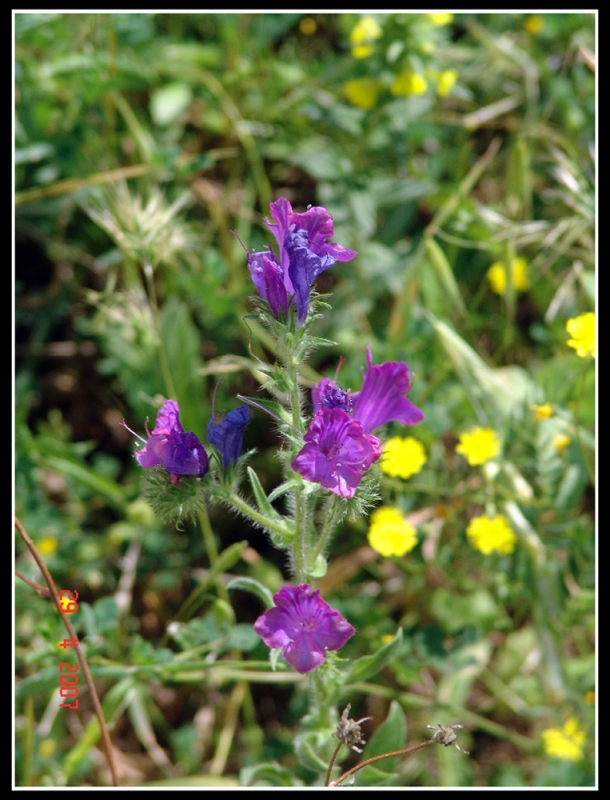 non tutto il male vien per nuocere