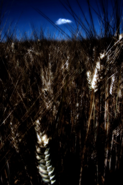 Evitate Rumori Inutili 02