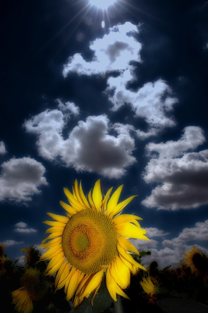 Evitate Rumori Inutili 01