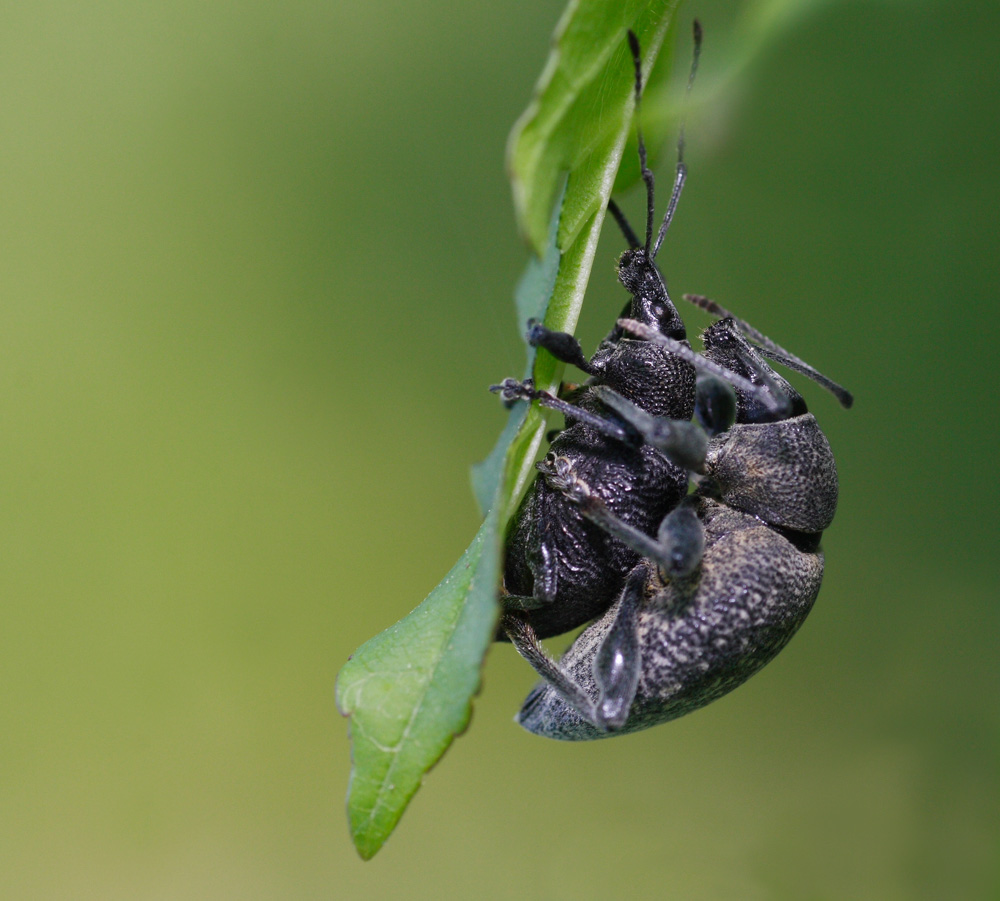 anche noi lo facciamo!!