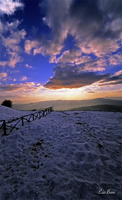 Il primo amore non si scorda mai 2: