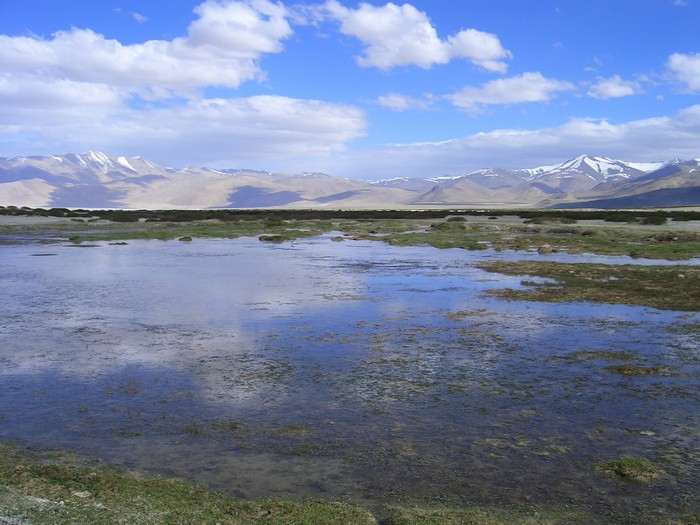 lago salato Tso-Khar in Ladakh