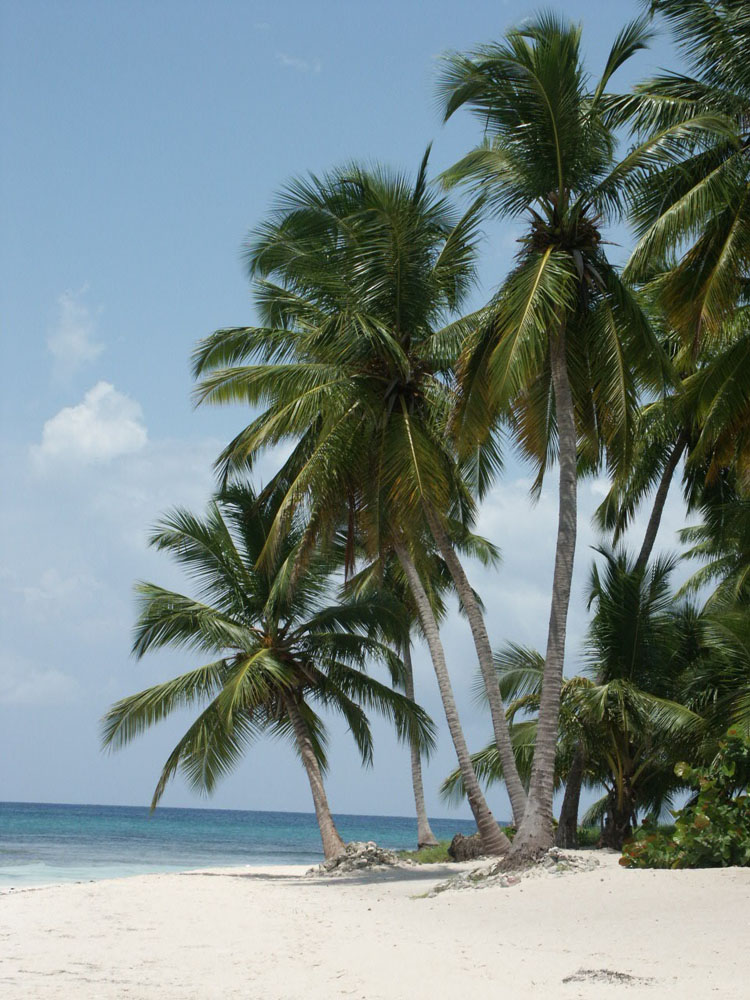 santo domingo