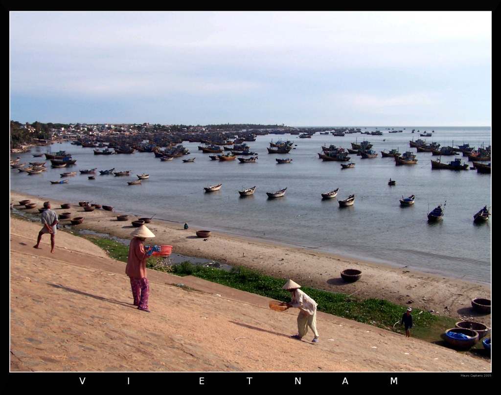 Raccoglitrici di pesce