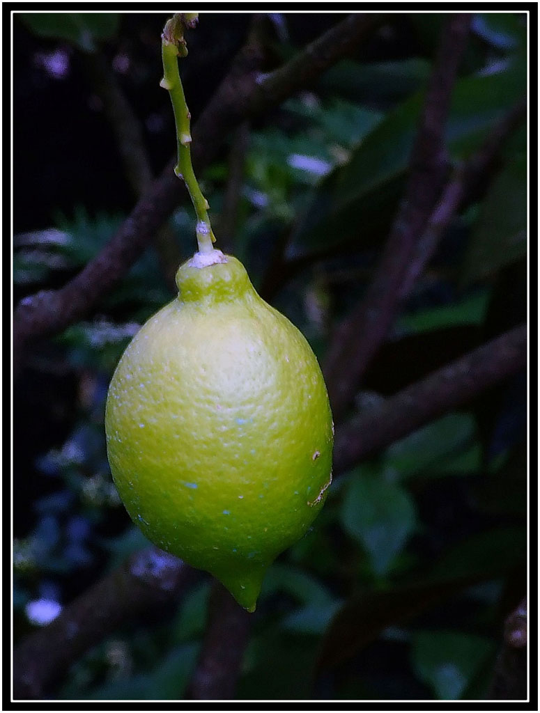 La mia prima foto con la fuji 6500 che ne pensate