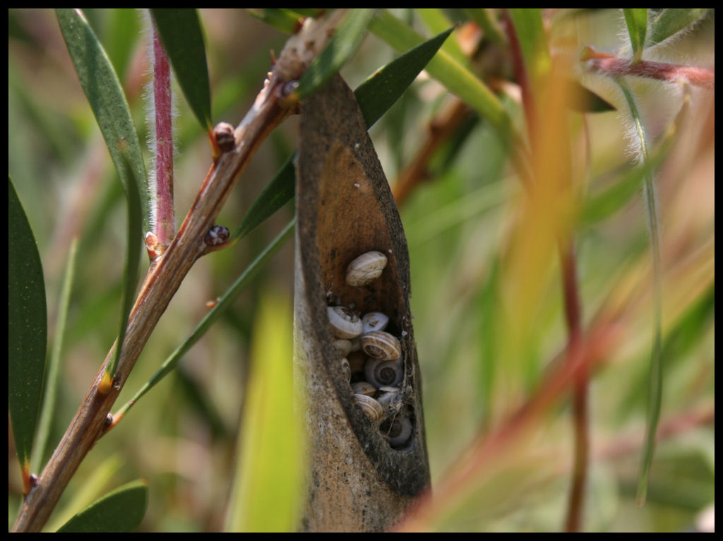 Stiamo vicini vicini 2