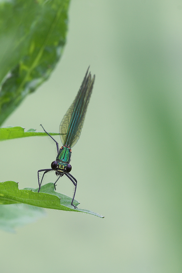 Un saluto e poi via!