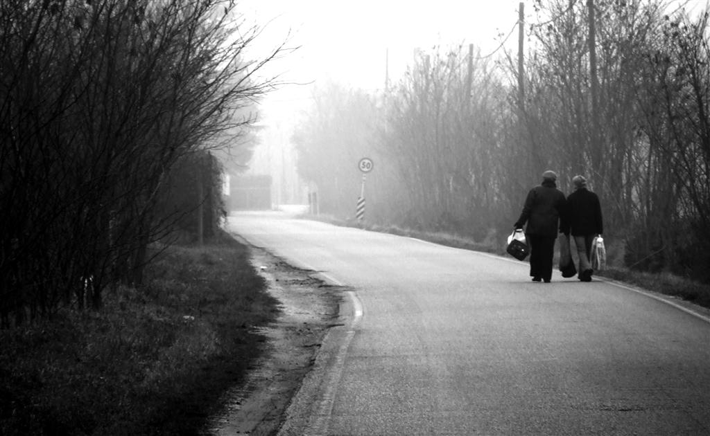 e allora torniamocene a casa