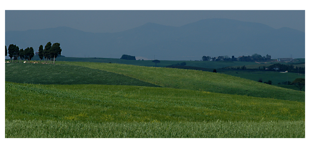 .::: Verde Leonardo :::.