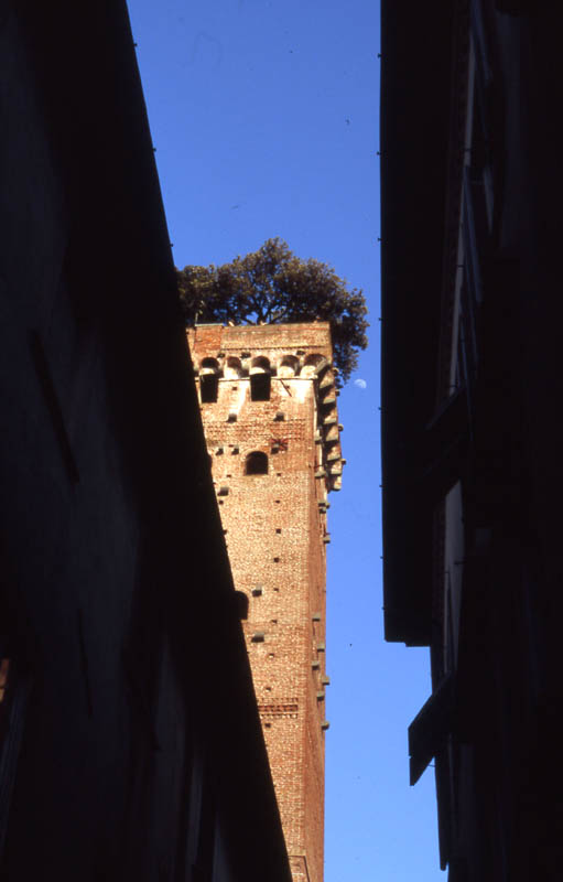 Torre guinigi con la luna (piccola)