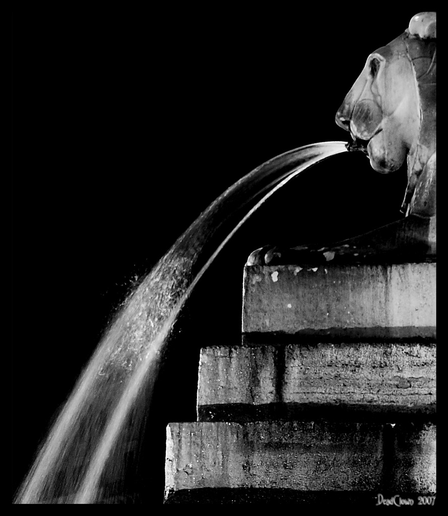 The Lion Never Sleeps